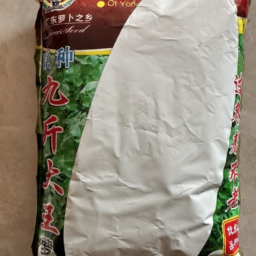 长沙【九斤大棒萝卜】大面积种植广东原种九斤王萝卜种子不空心大白萝
