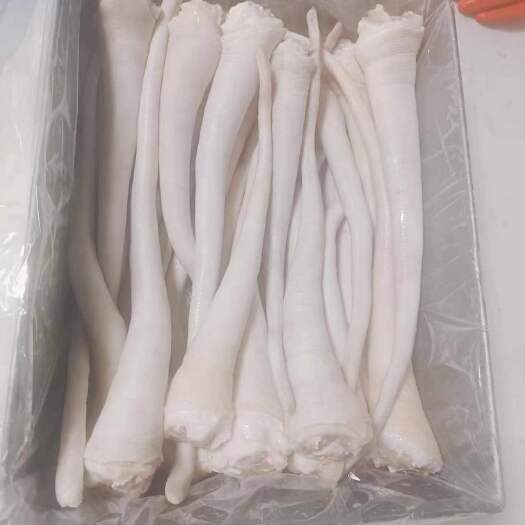昭通猪长尾