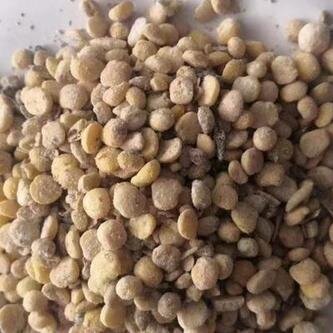正定县益生菌发酵大豆 高有机质  改良土壤提高肥力