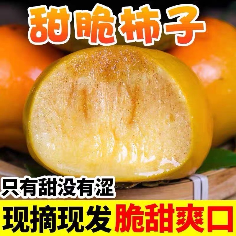 恭城瑶族自治县现摘脆柿子水果新鲜甜柿5斤大当季整箱包邮巧克力甜柿火晶黄硬柿