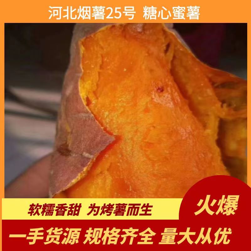 廊坊烟薯 25 河北烟密薯产地直销！冰糖心，烤薯，微商，电商批发