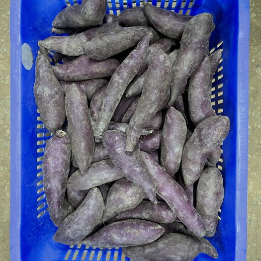 广州紫薯1-3两总共650kg