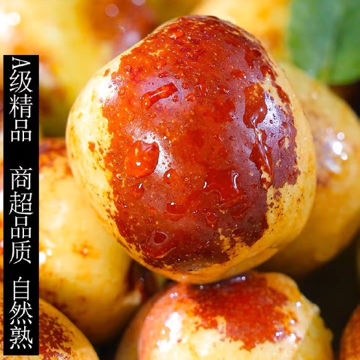 滨州正品沾化冬枣发源地