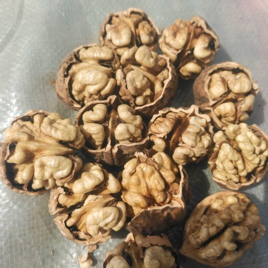 叶城县叶城县薄皮核桃特产店