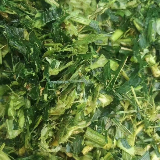 项城市玉米秸秆，供应牛羊厂，发电厂，生物饲料。大量供应