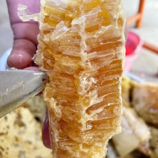 文成县浙江深山土蜂蜜