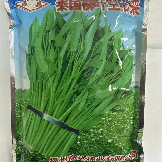 武汉泰国柳叶空心菜种子