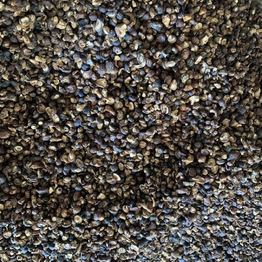 泌阳县包邮展销会专用黑油面小冬菇2025新货1～1.5公分烘干