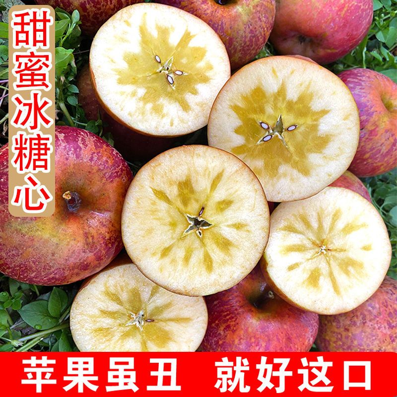 【精品果】现摘现发云南昭通丑苹果冰糖心果园直发