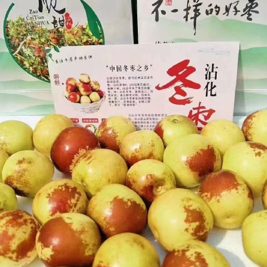 滨州沾化冬枣
