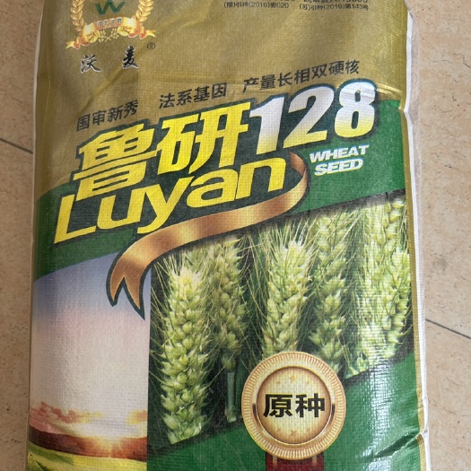 保定鲁研128好品种，籽粒饱满，精品原种