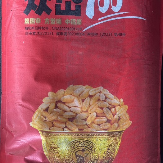 保定众岱100小麦种，精品原种，抗寒性好，品质指标达到中强筋小麦
