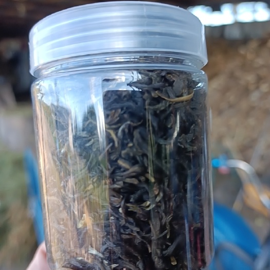 优质沫莉花小罐茶无药物添加干净卫生香气四溢