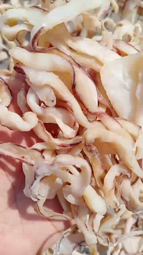 日照鱿鱼干边角料，鱿鱼条，鱿鱼碎，食堂饭店好食材鱿鱼干边角料