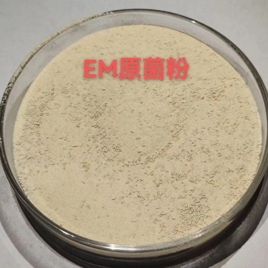 济宁暴生根，发酵大豆肥