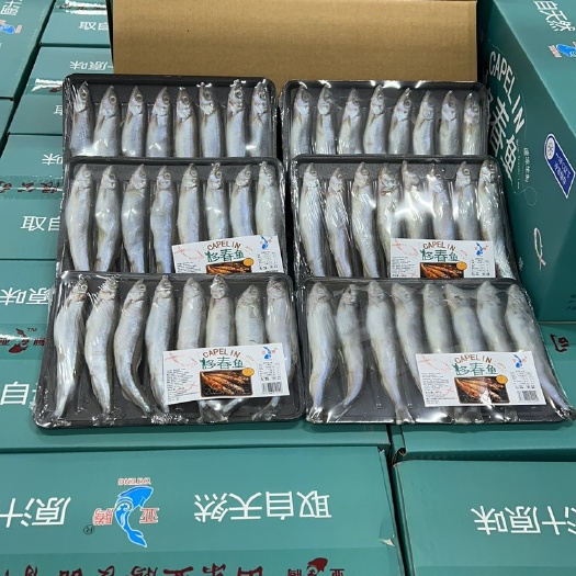 多春鱼