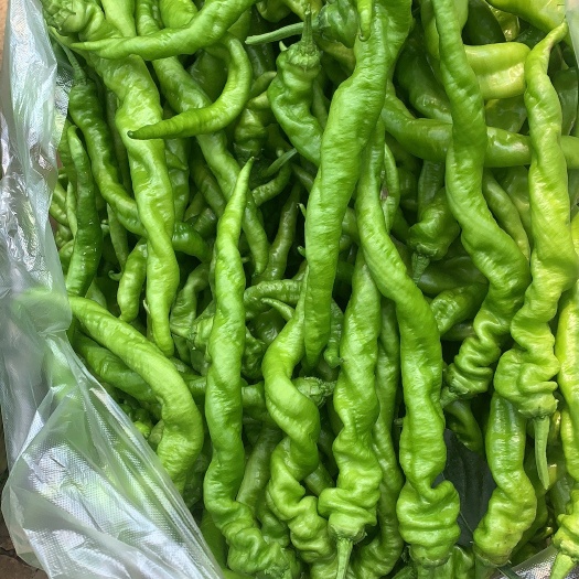 信丰县螺丝椒