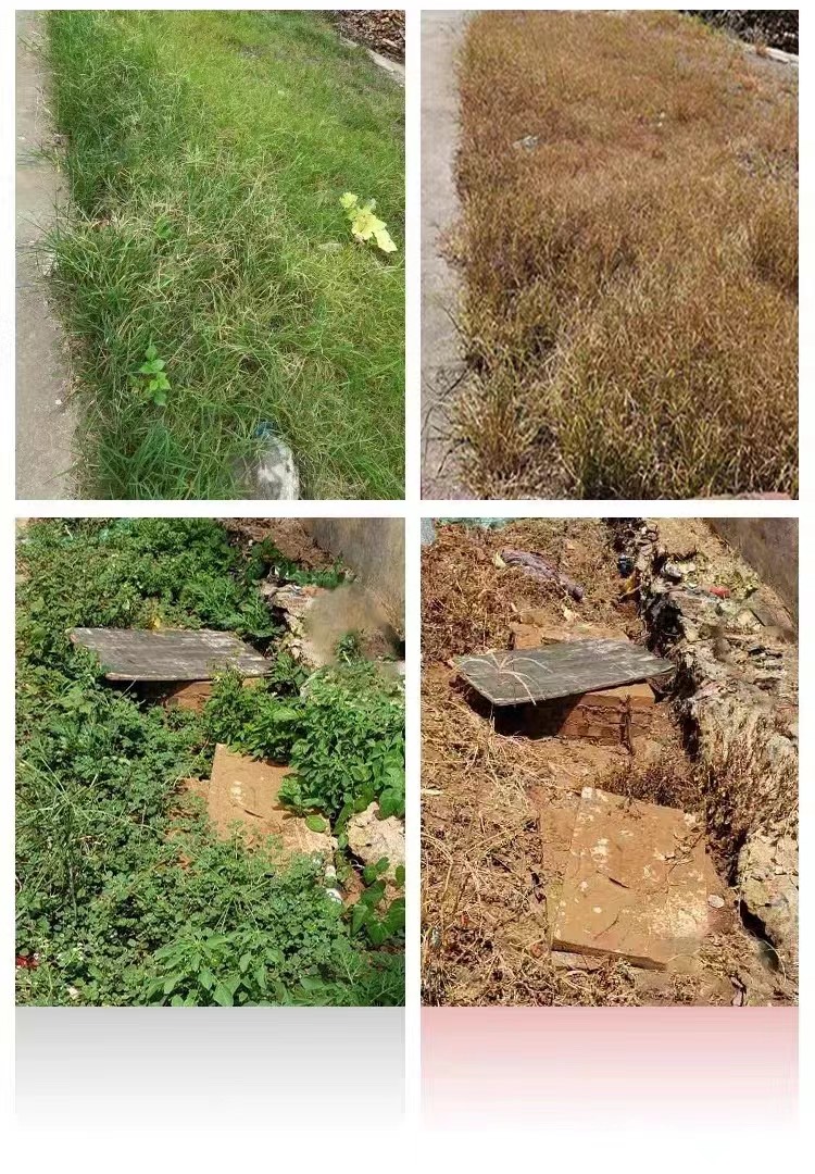 10斤高濃度精草銨膦銨鹽除草劑果園荒地牛筋草小飛蓬專用殺草劑
