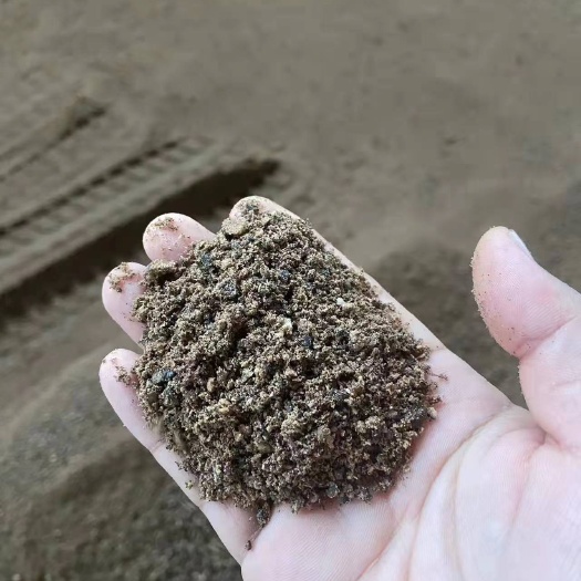 青岛印度尼西亚棕榈粕