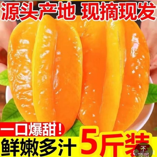连城县福建杨桃新鲜应季五星大洋桃流星果香甜可口汁多味美时令特产水