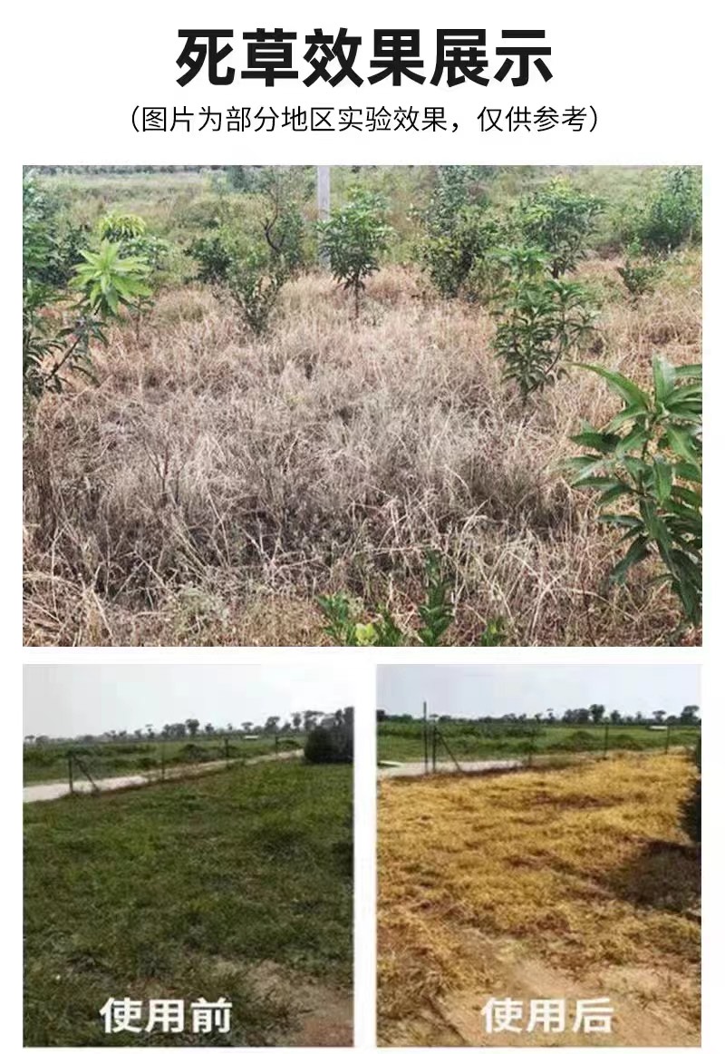 10斤高濃度精草銨膦銨鹽除草劑果園荒地牛筋草小飛蓬專用殺草劑