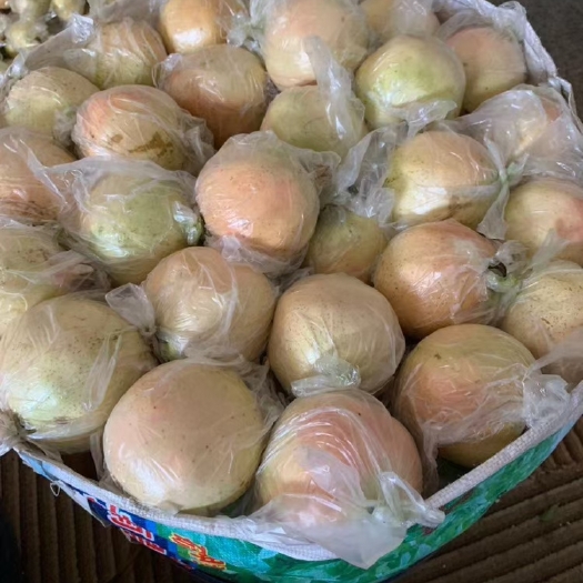 蒙自市蒙自甜石榴