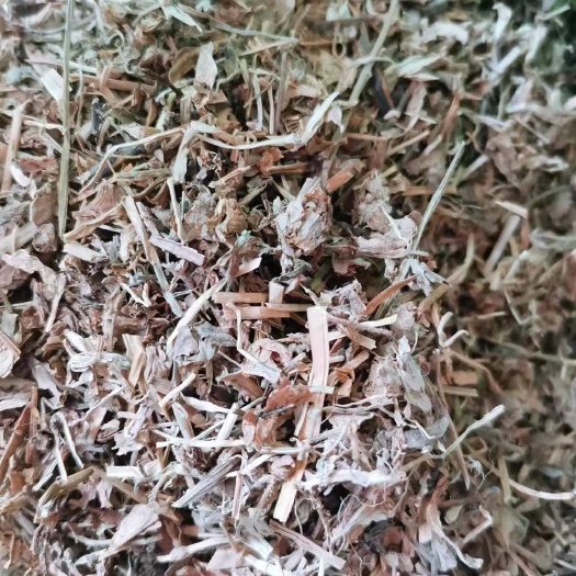 鸭跖草 正品鸭跖草