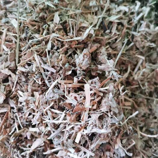 亳州鸭跖草 正品鸭跖草
