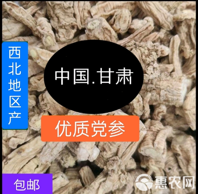 甘肃党参段干货，特优品质，本色无硫，煲汤中药材250g包邮