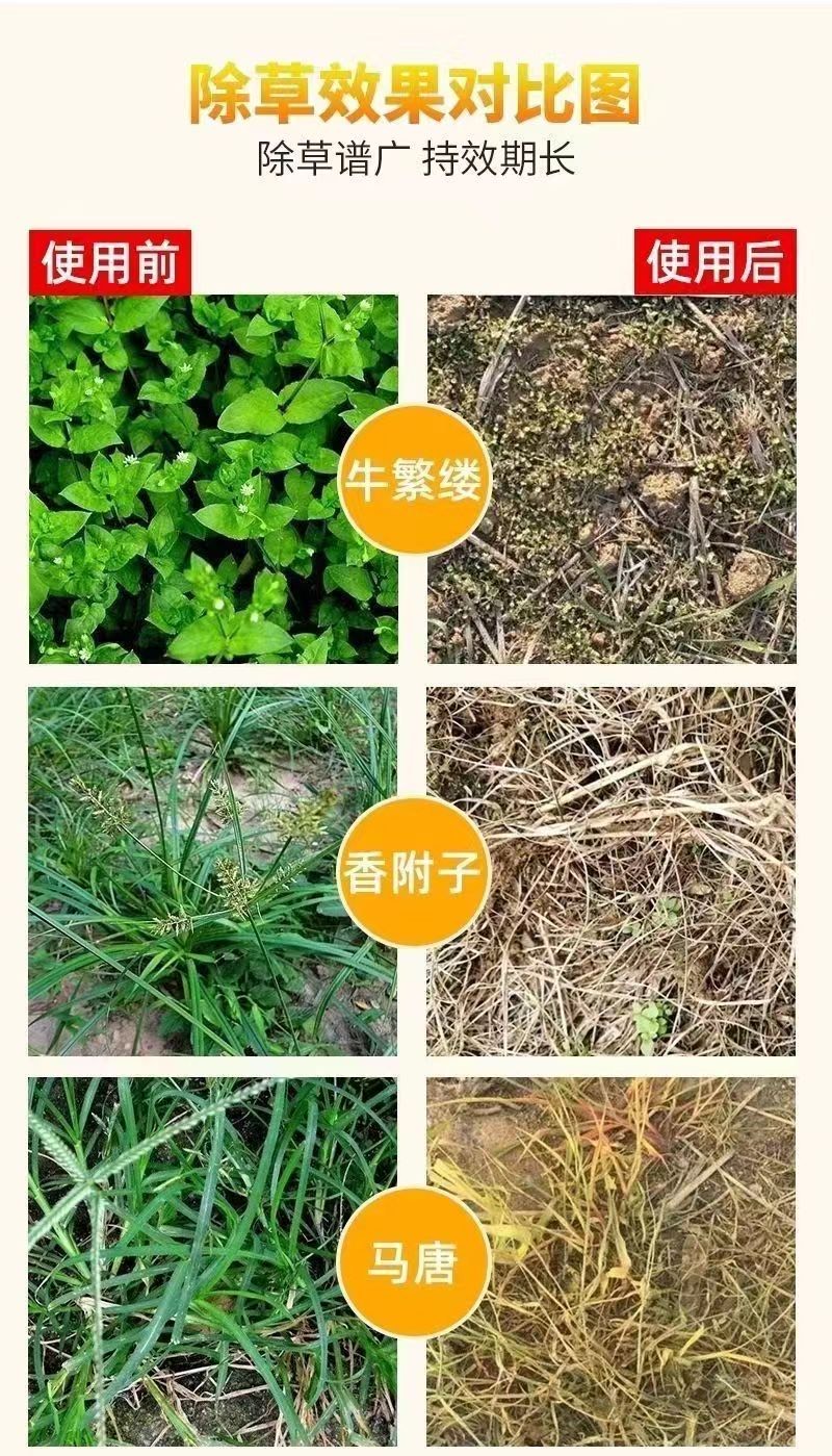 10斤高濃度精草銨膦銨鹽除草劑果園荒地牛筋草小飛蓬專用殺草劑