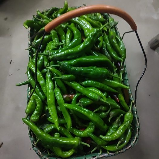蕲春县农家自种辣椒，量小