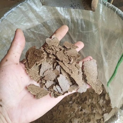 赣州花生枯