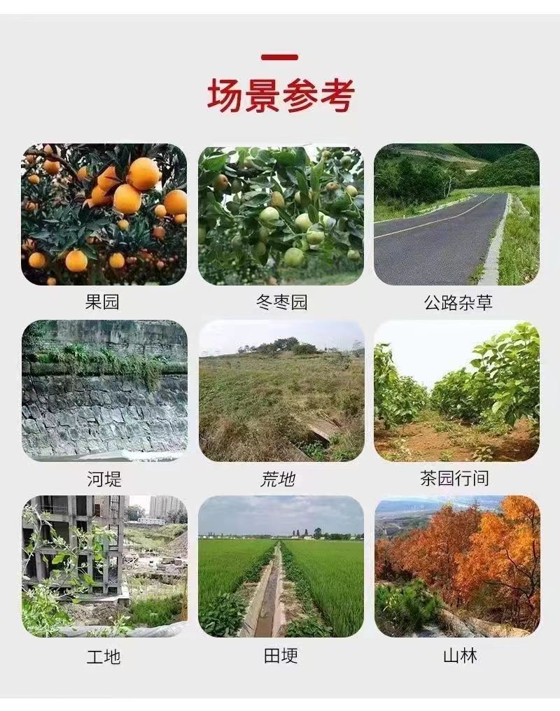 10斤高濃度精草銨膦銨鹽除草劑果園荒地牛筋草小飛蓬專用殺草劑