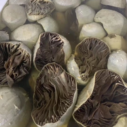 成都毛肚