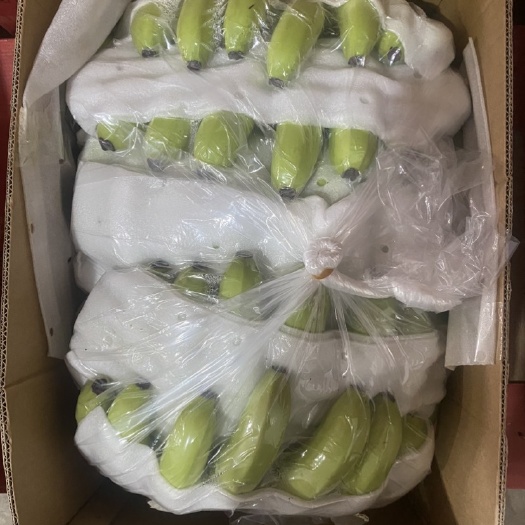 老挝香蕉
