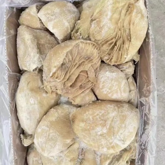 牛百叶，纯干货，不碱法，质量看得见，实拍图片