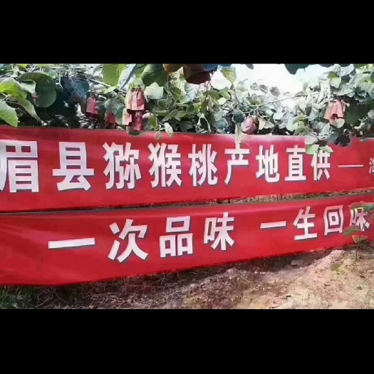 季节水果