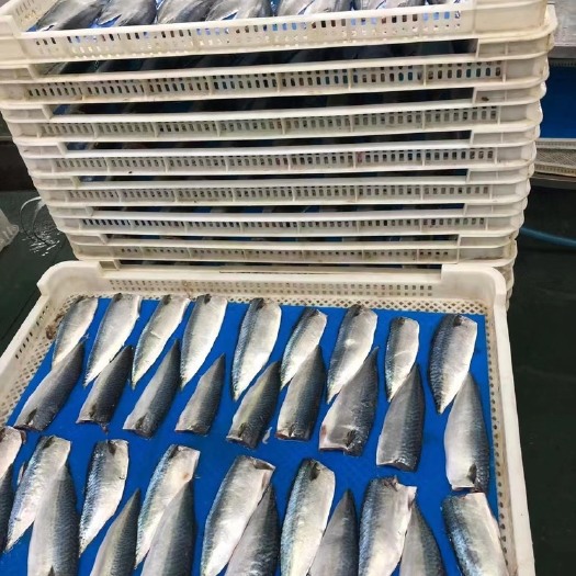 嘉兴包邮批发鲐鱼片350g/袋约5片20袋/件可试吃，可按件批发