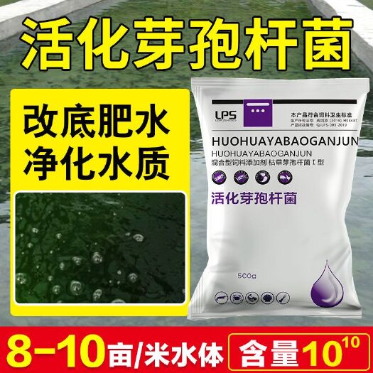 郓城县2000亿枯草芽孢杆菌免发酵鱼虾蟹水产专用分解有机物调水肥水