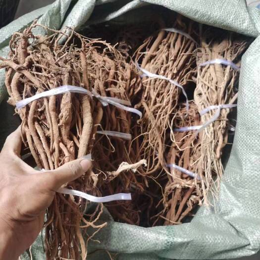 博罗县千斤拔干品批发