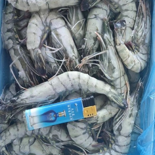 黑 虎虾海捕大虾斑节虾草虾对虾九节虾超大黑虎虾鲜活冷冻海洋虾