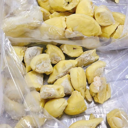 沈阳榴莲肉原料