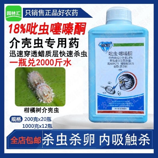 广州荣邦蚧壳虫专用药介壳虫18%吡虫啉噻嗪酮农用药柑橘树杀虫剂农