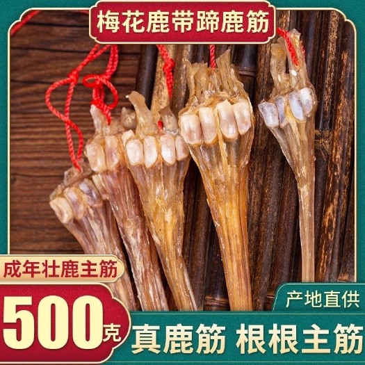梅花鹿干鹿筋主筋去毛蹄带鹿骨粗大滋补泡酒炖汤