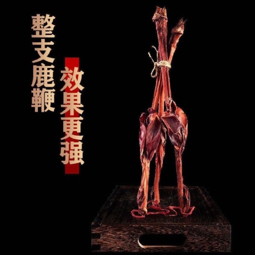 长白县吉林鹿鞭整根带证鹿鞭泡酒料男性