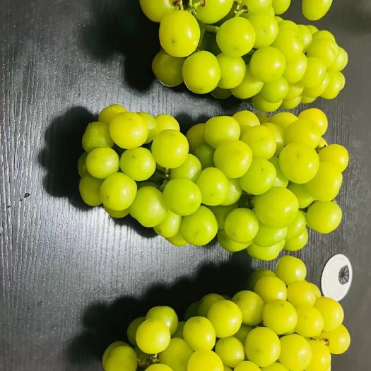 澧县阳光玫瑰葡萄