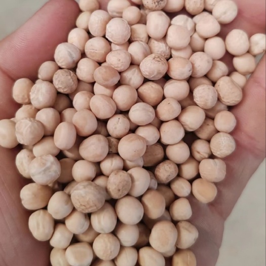 白豌豆，品质优，量大优惠