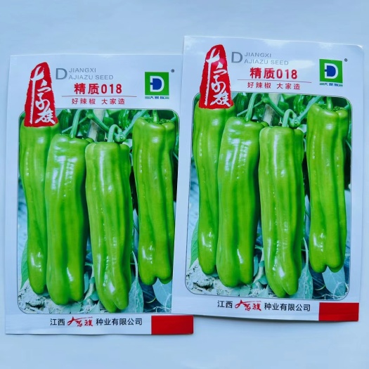 宿迁辣椒种子大家族精致018薄皮泡椒辣椒种子 精致019辣椒种子