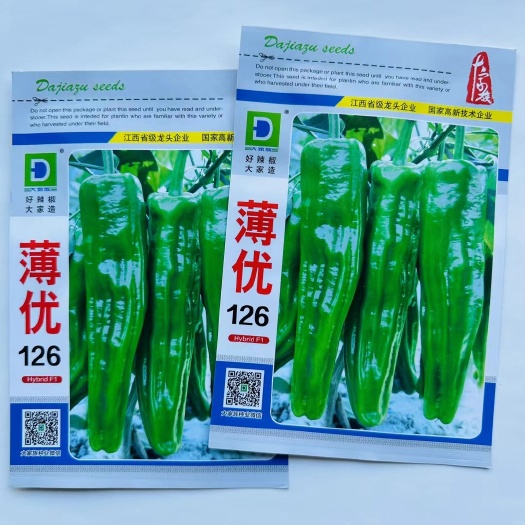 宿迁薄优126薄皮辣椒种子薄优146早熟薄皮肉嫩大果型辣椒种子