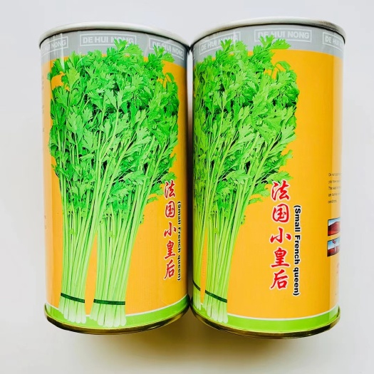 小香芹种子法国小皇后小芹菜种子耐热耐寒抗病小西芹种子芹菜种子